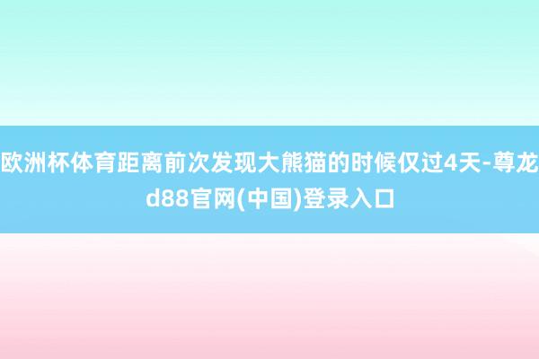 欧洲杯体育距离前次发现大熊猫的时候仅过4天-尊龙d88官网(中国)登录入口