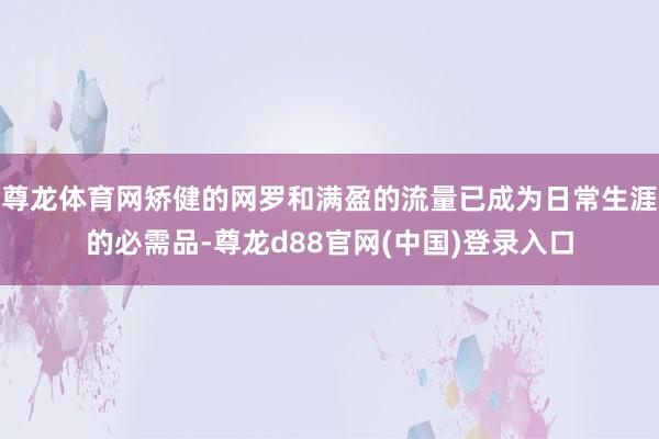 尊龙体育网矫健的网罗和满盈的流量已成为日常生涯的必需品-尊龙d88官网(中国)登录入口