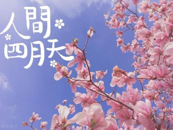 欧洲杯体育何不给我方一份猖狂的集合-尊龙d88官网(中国)登录入口