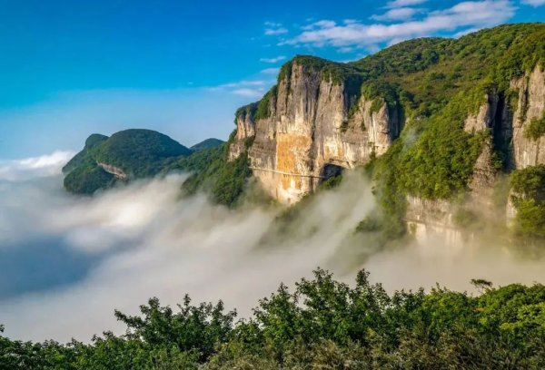 尊龙凯时(中国)官方网站也有好去向 　　5月19日-尊龙d88官网(中国)登录入口