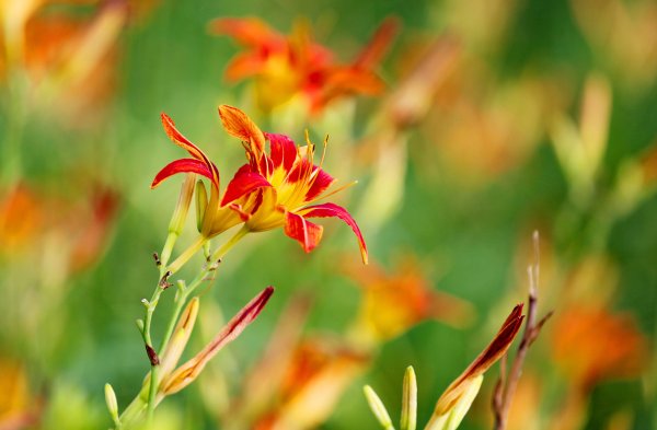 尊龙体育网　　以上图片：2025年6月21日-尊龙d88官网(中国)登录入口