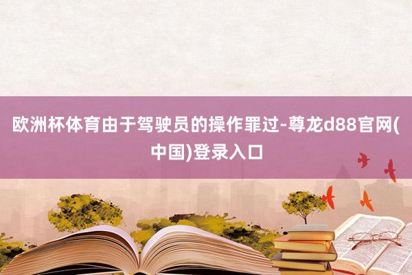 欧洲杯体育由于驾驶员的操作罪过-尊龙d88官网(中国)登录入口