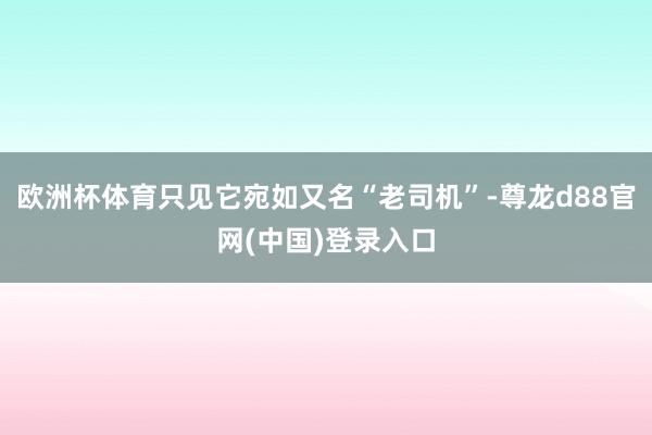 欧洲杯体育只见它宛如又名“老司机”-尊龙d88官网(中国)登录入口