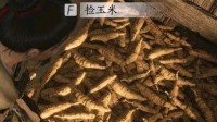 《燕云十六声》再出离谱案牍BUG：指红薯为玉米?