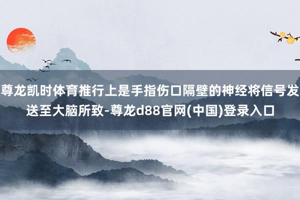 尊龙凯时体育推行上是手指伤口隔壁的神经将信号发送至大脑所致-尊龙d88官网(中国)登录入口