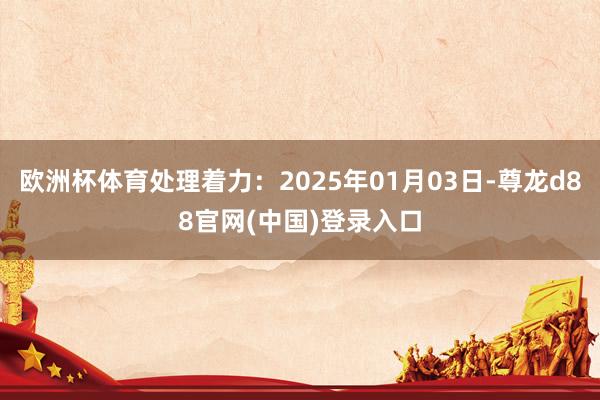 欧洲杯体育处理着力：2025年01月03日-尊龙d88官网(中国)登录入口