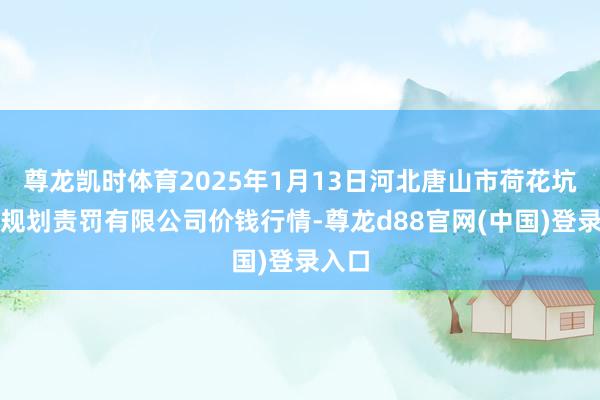 尊龙凯时体育2025年1月13日河北唐山市荷花坑阛阓规划责罚有限公司价钱行情-尊龙d88官网(中国)